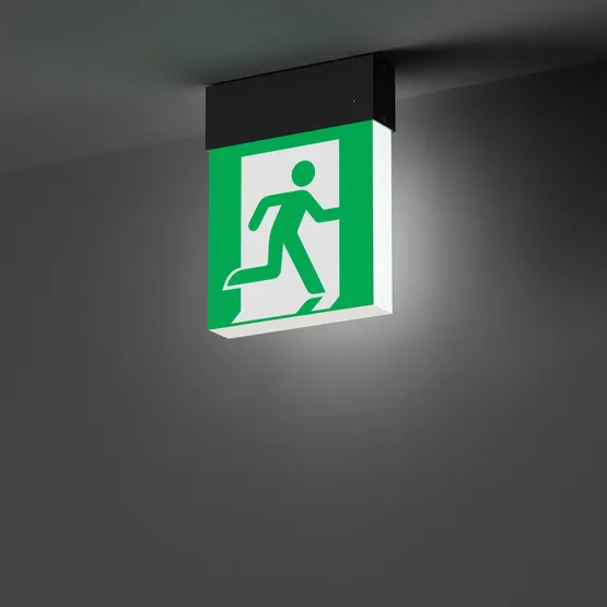 Фото #5 товара Световой указатель EMG-MARK-S-3H-BK (Arlight, IP40 Металл, 5 лет)