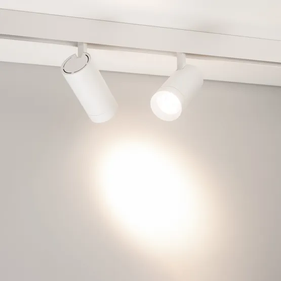 Фото #2 товара Светильник MAG-ORIENT-SPOT-R65-20W Day4000 (WH, 24 deg, 48V) (Arlight, IP20 Металл, 5 лет)