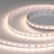Минифото #1 товара Светодиодная лента UL-A160-10mm 24V Day-MIX (12 W/m, IP20, 5m) (Arlight, Изменяемая ЦТ)