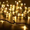 Минифото #1 товара Светодиодная гирлянда ARD-STRING-PRO-10000-GREEN-100LED-STD WARM (230V, 7W) (Ardecoled, IP65)