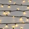 Минифото #4 товара Светодиодная гирлянда ARD-STRING-PRO-10000-GREEN-100LED-STD WARM (230V, 7W) (Ardecoled, IP65)
