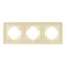 Минифото #2 товара Рамка стеклянная FRM-OMALI-GS-3-GD (Arlight, -)